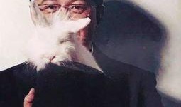 卓伟最新爆料曝光新闻视频,独家揭秘惊天新闻视频幕后真相